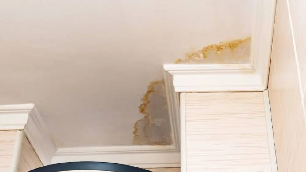 Water stain on a ceiling beside crown molding
