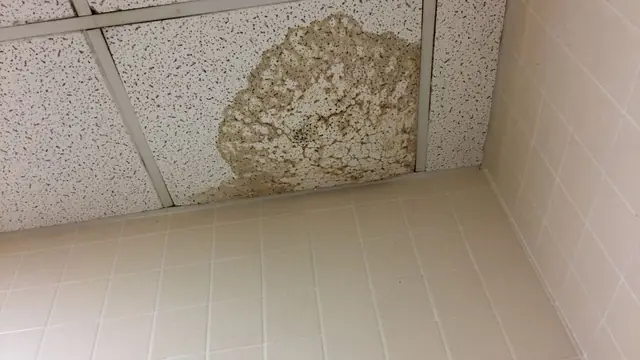 Water stain spreading across an acoustic ceiling tile