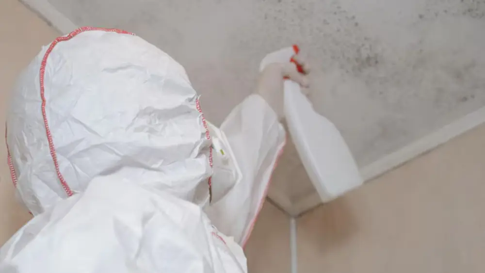 Worker in a hooded suit spraying a ceiling corner